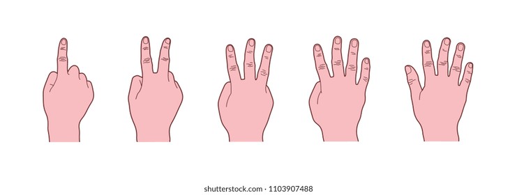 Body Language, Hand Gesture Counting One to Five, Fingers Count Signs