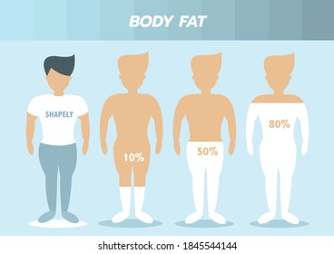 Body male types,front human body
,body fat,Vector illustrations

