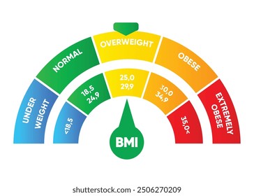 Índice de masa corporal (IMC) 5 rangos, Ilustración vectorial colorida del gráfico del IMC con el fondo aislado blanco