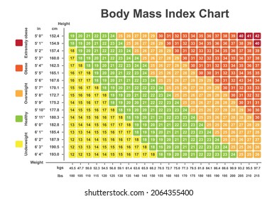 Body Mass Index (BMI) Chart. BMI Calculator To Checking Your Body Mass Index. Colorful Symbols. Vector Illustration.