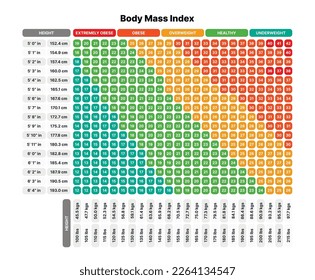 Gráfico de índice de masa corporal (IMC). Calculadora Para Comprobar Su Índice De Masa Corporal. Ilustración vectorial.