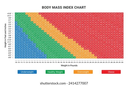 Body Mass Index (BMI) Diagramm Vektorgrafik. BMI-Rechner zur Überprüfung des Körpermasseindex.