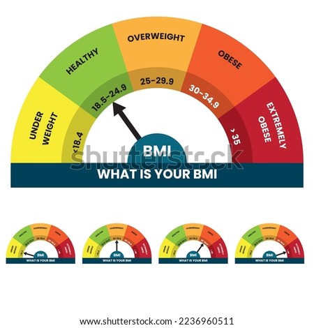Body Mass Index (BMI) Chart