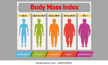 Body mass index, bmi classification, Vector weight loss, Body Mass Index (BMI) Chart.