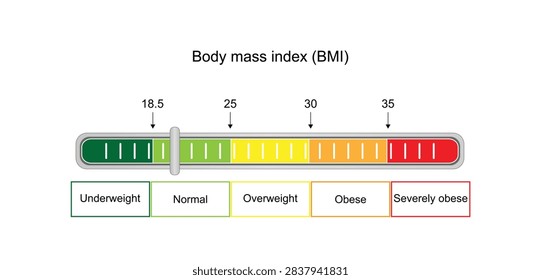Body Mass Index (BMI) classifies weight status based on height and weight measurements, underweight, normal, overweight, obese, severely obese. Vector Illustration.