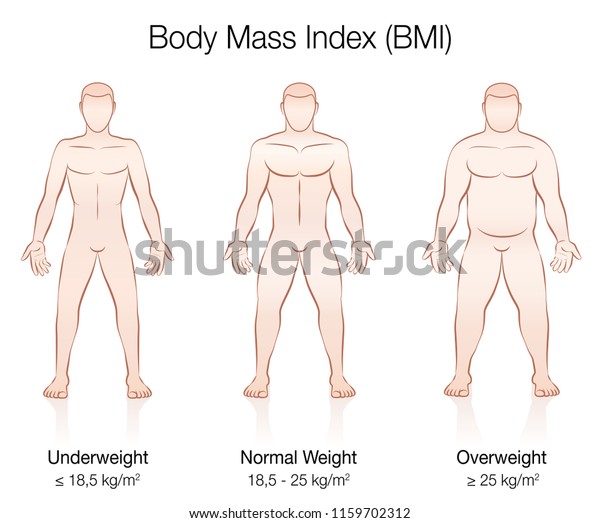Body Mass Index Bmi Underweight Normal Stock Vector Royalty Free