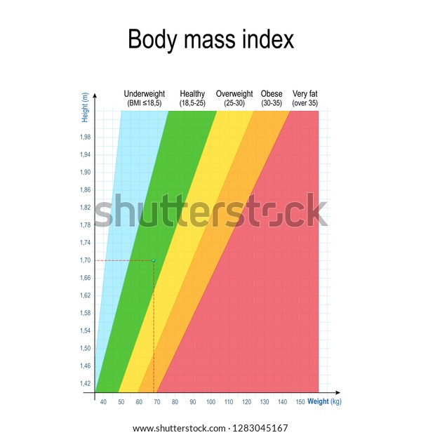 Body Mass Index Bmi Weight Height Stock Vector Royalty Free