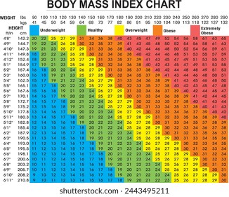 Tabla de índice de masa corporal para motociclista Comprobación de su índice de masa corporal Vector Ilustración de diseño de uso para pancarta volante y exhibición de taller de bicicletas 