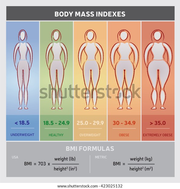 Bmi Chart For Bodybuilders
