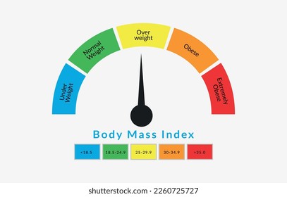 Body Mass Index Infographic Chart. Colorful BMI Chart Vector Illustration With White Isolated Background