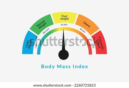 Body Mass Index Infographic Chart. Colorful BMI Chart Vector Illustration With White Isolated Background