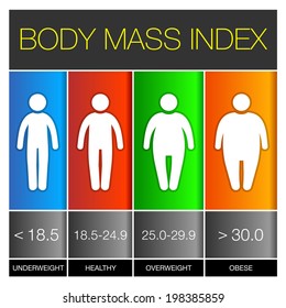 Body Mass Index Infographic Icons. Vector illustration