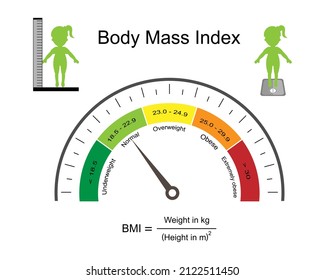 Infografik des Body-Mass-Index im Tachometer mit Gewichtsstatus von Untergewicht zu extrem Fettleibigkeit einzeln auf weißem Hintergrund.BMI-Rechner.Medizinisches Gesundheitskonzept.Vector.Illustration.