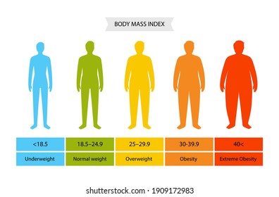 Body Mass Index Poster Man Silhouettes Stock Vector (Royalty Free ...