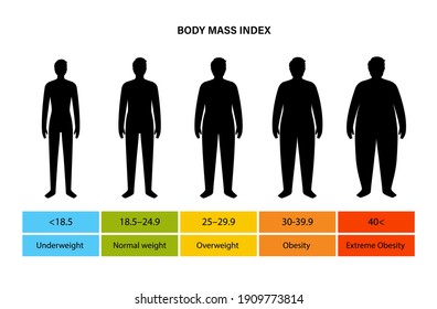 Body Mass Index Poster Man Silhouettes Stock Vector (Royalty Free ...