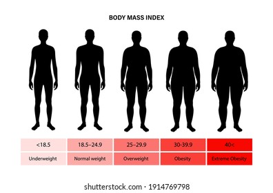 Body mass index poster. Man silhouettes with obese, normal and slim fit. BMI ranges from overweight to underweight male persons. Adult people with different metabolism and weight vector illustration.