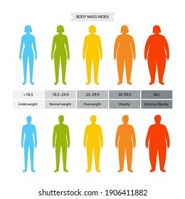 Body mass index poster. Woman and man silhouettes with obese normal and slim fit. BMI ranges from overweight to underweight infographic. People with different metabolism and weight vector illustration