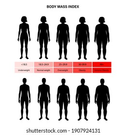 Body mass index poster. Woman and man silhouettes with obese normal and slim fit. BMI ranges from overweight to underweight infographic. People with different metabolism and weight vector illustration