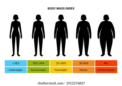 Body mass index poster. Woman silhouettes with obese, normal and slim fit. BMI ranges from overweight to underweight female person. Adult people with different weight and fat level vector illustration