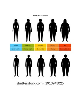 Body mass index poster. Woman and man silhouettes with obese normal and slim fit. BMI ranges from overweight to underweight infographic. People with different metabolism and weight vector illustration