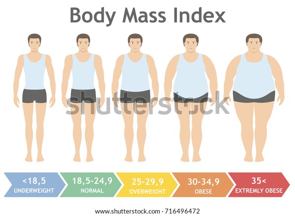 Body Mass Index Vector Illustration Underweight 库存矢量图 免版税