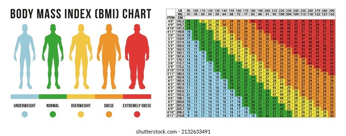 Body Masse Index Chart, BMI In Vector Format