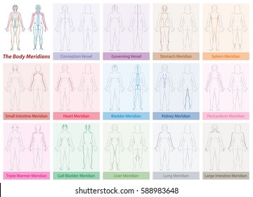 Body meridian chart of a womans body - with names and different colors - Traditional Chinese Medicine. Isolated vector illustration on white background.