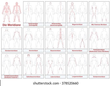 Body meridians - GERMAN LABELING - Schematic diagram with main acupuncture meridians and their directions of flow. Isolated vector illustration on white background.