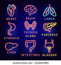 Conjunto de etiquetas de órganos corporales. Ilustración vectorial de objetos médicos de salud humana.