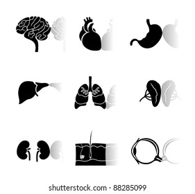 body organs icons