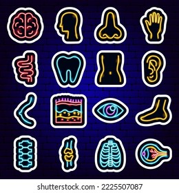 Body Organs Neon Stickers. Vector Illustration of Medical Science Symbol.