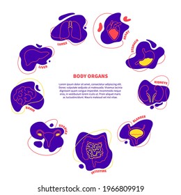 Body organs outline set. Anatomy icons on abstract geometric spots. Signs of liver, heart, intestine, brain, kidney, bladder, stomach, uterus. Medical vector illustration.