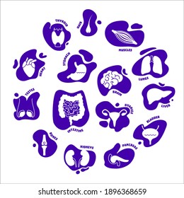 Body organs silhouette pictogram set. Anatomy icons on abstract geometric spots. Signs of liver, heart, intestine, brain, thyroid, kidney, thyroid, bladder, stomach. Medical vector illustration.