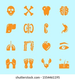 Body part, head, bone, brain and related solid icon set on color background 