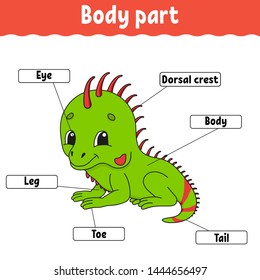 Body part. Learning words. Education developing worksheet. Activity page for study English. Game for children. Funny character. Isolated vector illustration. Cartoon style.