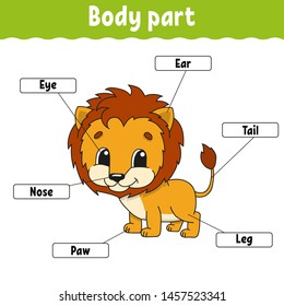 Body part. Learning words. Education developing worksheet. Activity page for study English. Game for children. Funny character. Isolated vector illustration. Cartoon style.