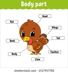 Body Part Learning Words Education Developing Stock Vector (Royalty ...