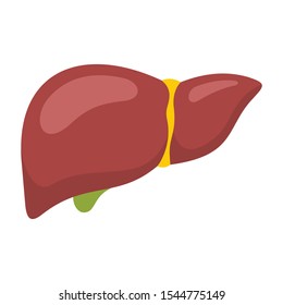 Body part liver flat icon. Vector Body part liver in flat style isolated on white background. Element for web, game and advertising