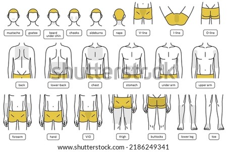Body part sets by location for men's hair removal, beard and VIO, full body hair removal
