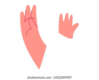 Body part vector illustration. The anatomical position is critical reference point in various medical procedures Educational gestures make complex anatomical concepts accessible to diverse learners