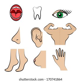 Body parts