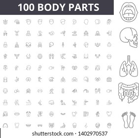 Body parts anatomy line icons, signs, vector set, outline illustration concept 