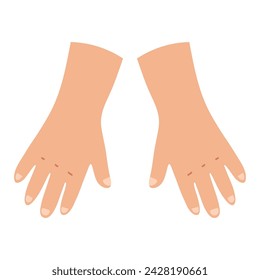 Body parts in cartoon style - arms. Right and left hands front side. Learning body parts for kids. Vector illustration