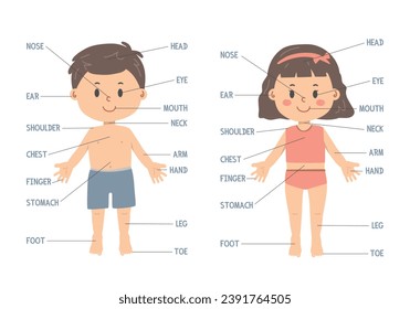 Body parts chart cartoon clipart. Cute boy and girl with body parts names, educational poster for kids. Human body vector illustration flat cartoon style. Head, eye, neck, shoulder, chest, leg, foot