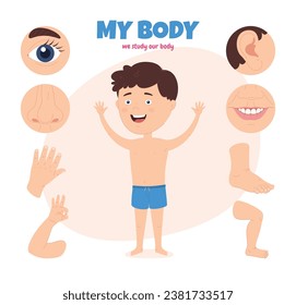 Body parts of a child. Scheme with different external parts of the boy body. Studying one own body. Vector illustration