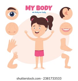 Body parts of a child. Scheme with different external parts of the girl body. Studying one own body. Vector illustration