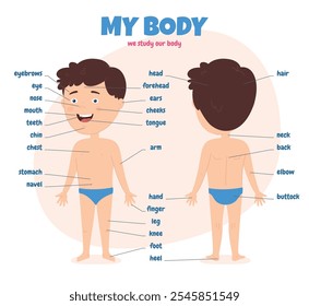 Partes del cuerpo de un niño. Esquema con diferentes partes externas del cuerpo. Estudiando un cuerpo propio. Ilustración vectorial