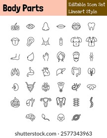 Body Parts Collection Icon Set Lineart Style