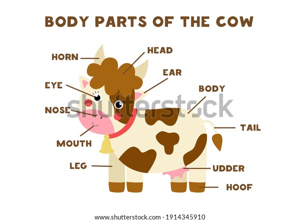 Body parts cartoon Images - Search Images on Everypixel