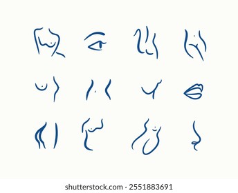 Body parts drawing in linear art style with blue on light background